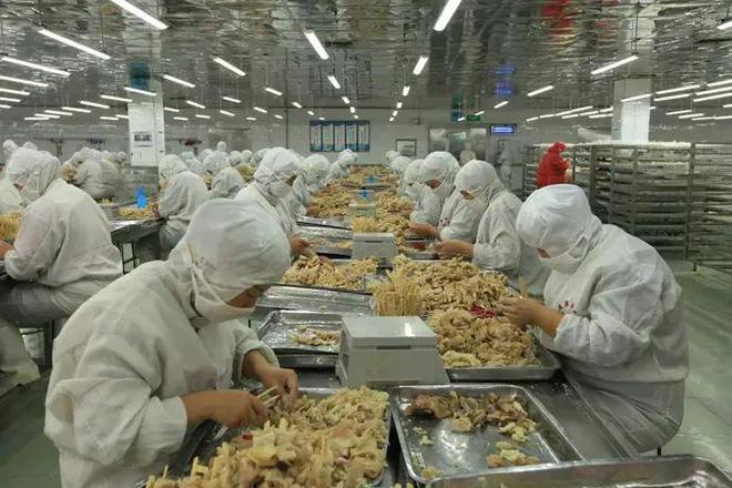 服務業穩定增強 助力河北省新經濟崛起 食品互聯網銷售蓬勃發展