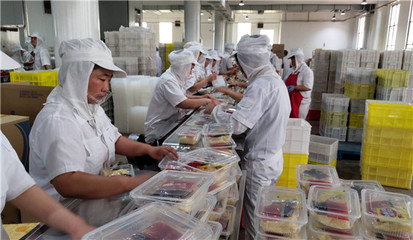 漯河以主食產(chǎn)業(yè)為核心，構(gòu)建數(shù)字化食品產(chǎn)業(yè)新生態(tài)