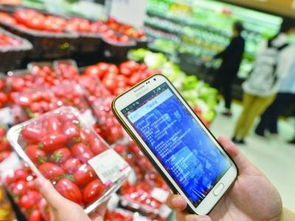 給食品銷售插上互聯網的翅膀 劉先玲與中國食品銷售網的創新實踐