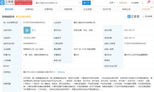 字節(jié)跳動投資成立車企新公司 網絡技術巨頭跨界造車的新篇章